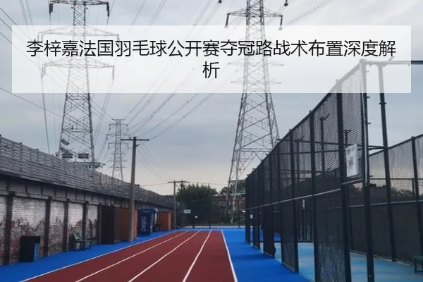 李梓嘉法国羽毛球公开赛夺冠路战术布置深度解析